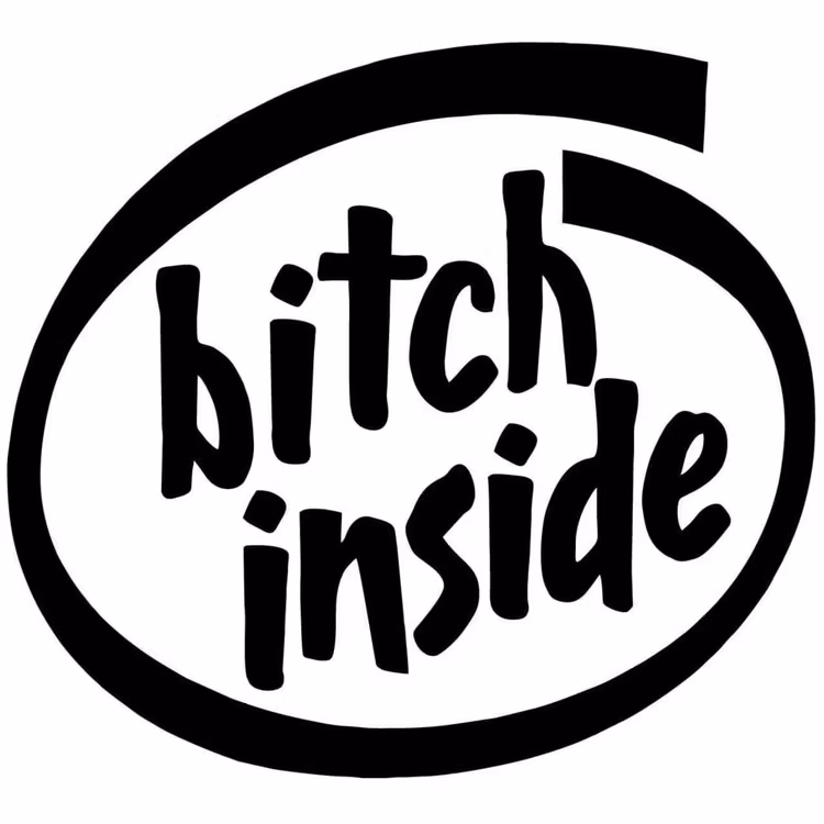 Dekal dekaler klistermärke bitch inside epa epatraktor