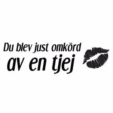 Dekal - Du blev just omkörd av en tjej