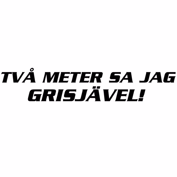Dekal dekaler klistermärke  två meter sa jag grisjävel