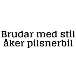 Dekal - Brudar med stil åker pilsnerbil