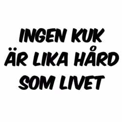 Dekal - INGEN KUK ÄR LIKA HÅRD SOM LIVET