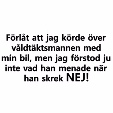 Dekal - Förlåt att jag körde över våldtäktmannen