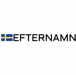 Dekal Rally Flagga med Efternamn