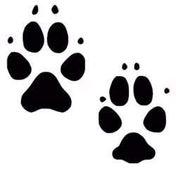 Dekal - Varg fotavtryck