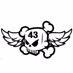 Dekal - 43 DÖSKALLE VINGAR