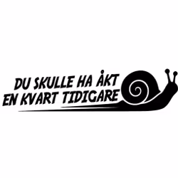 Dekal - DU SKULLE HA ÅKT EN KVART TIDIGARE