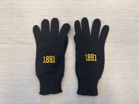 Handskar - 1891
