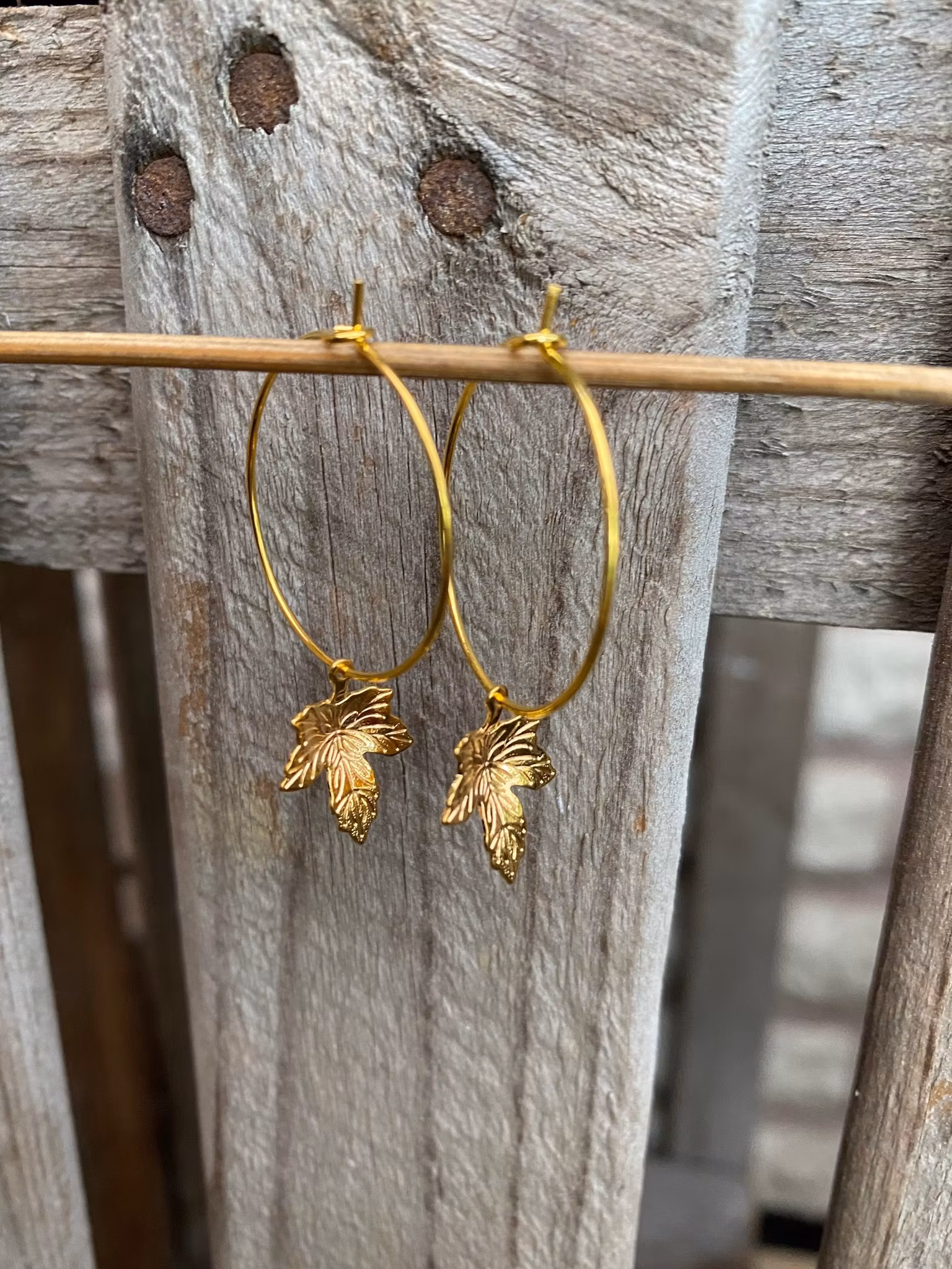 Örhängen – Löv, guld