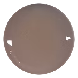 Iced Coffee Gel 5g – Transparent nude geléfärg för naturlig look