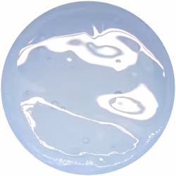 Builder Gel Clear 50ml