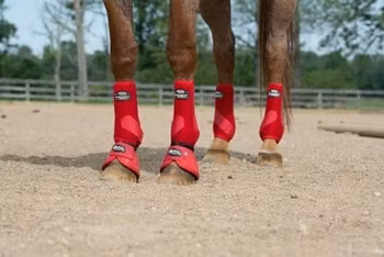 HIGH PERFORMANCE Athletic Boot enfärgade