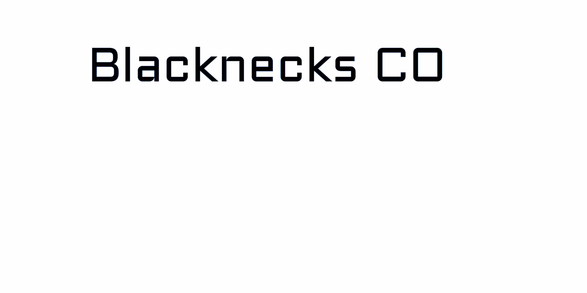 Blacknecks CO 27x4 BLÅ