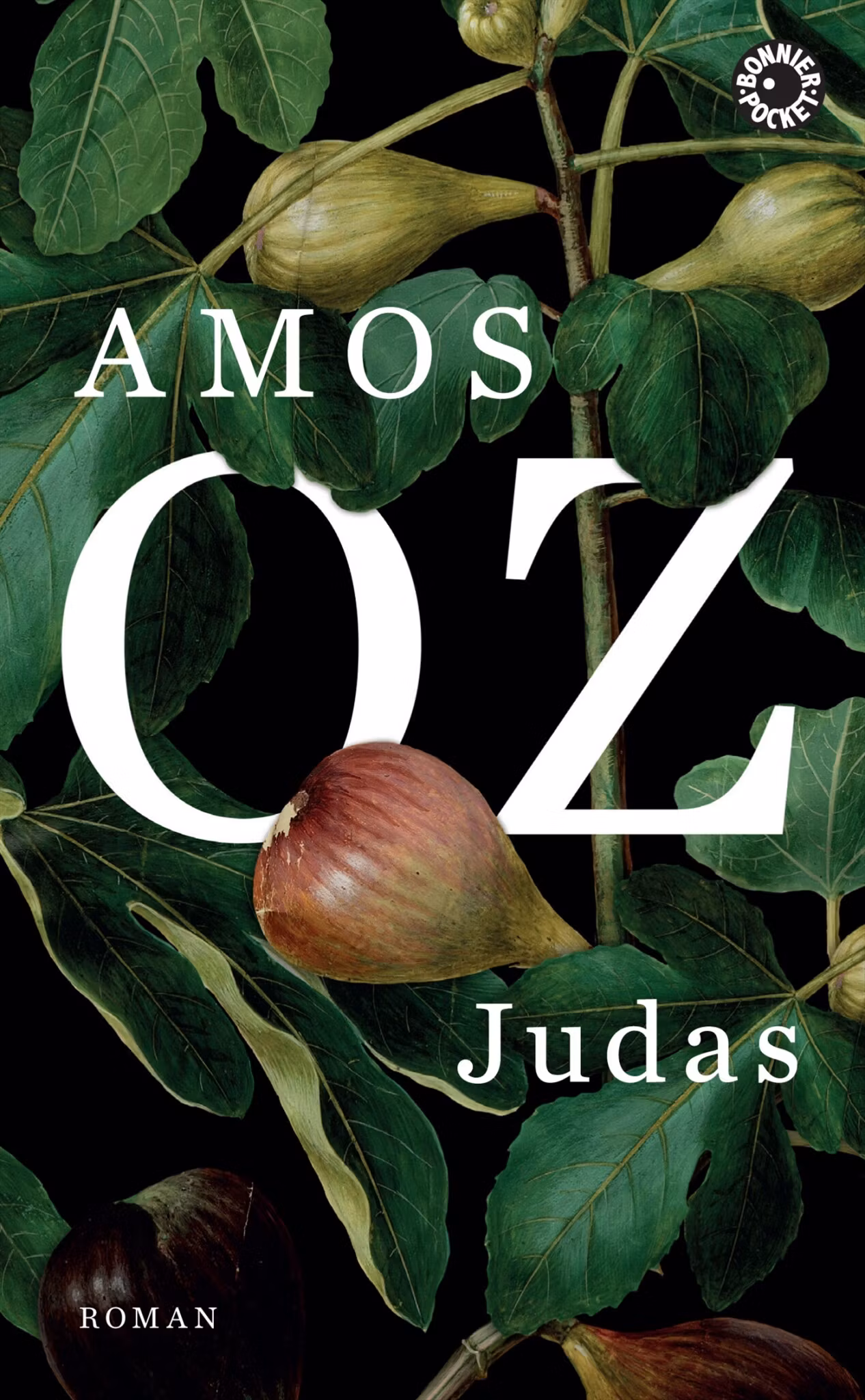 Judas - finns i Rutströms bokhandel