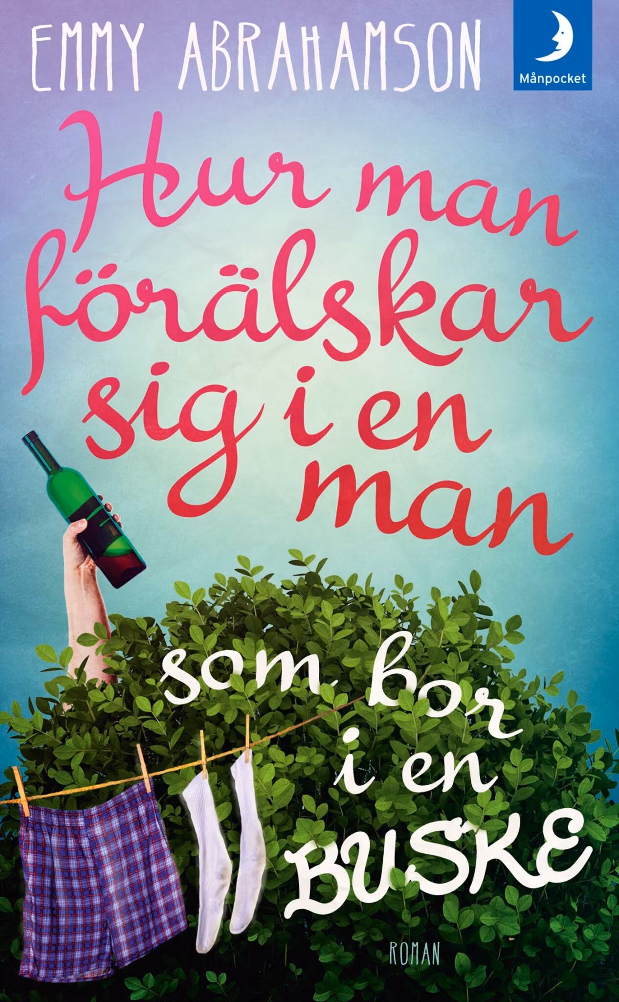 Hur man förälskar sig i en man som bor i en buske (pocket)