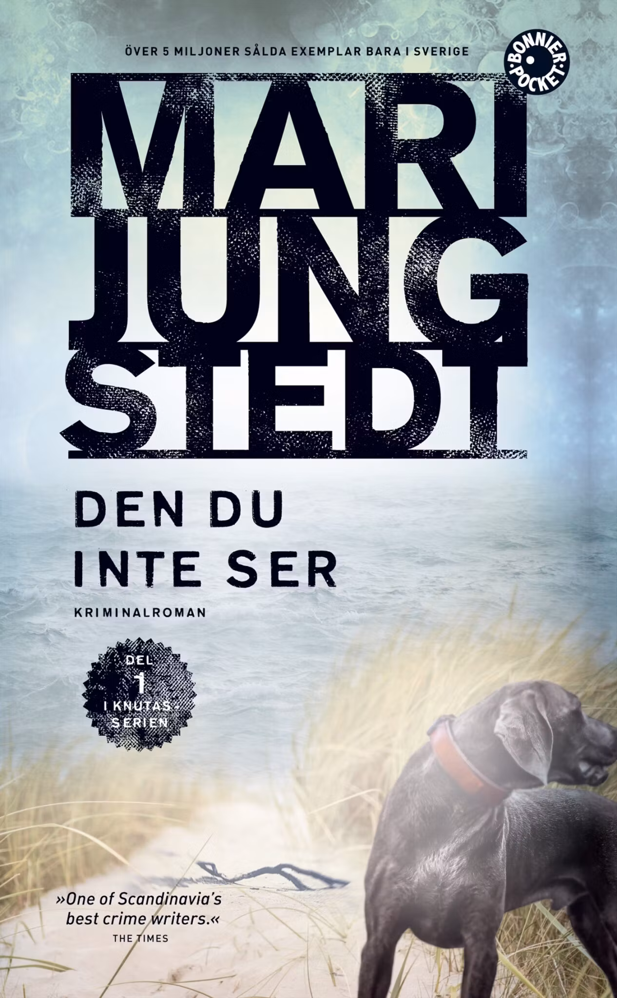 Den du inte ser - finns i Rutströms bokhandel