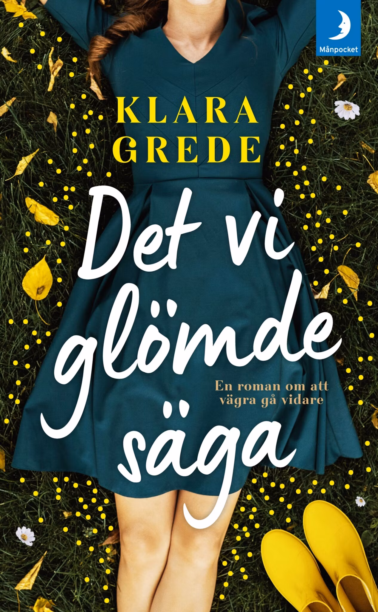 Det vi glömde säga - finns i Rutströms bokhandel