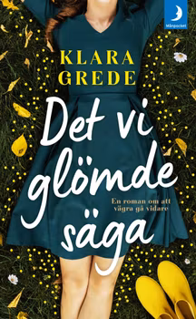 Det vi glömde säga (pocket)