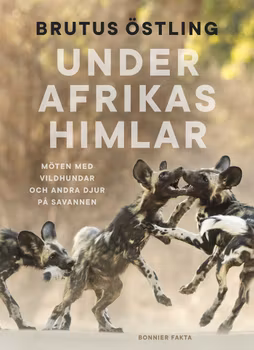 Under Afrikas himlar