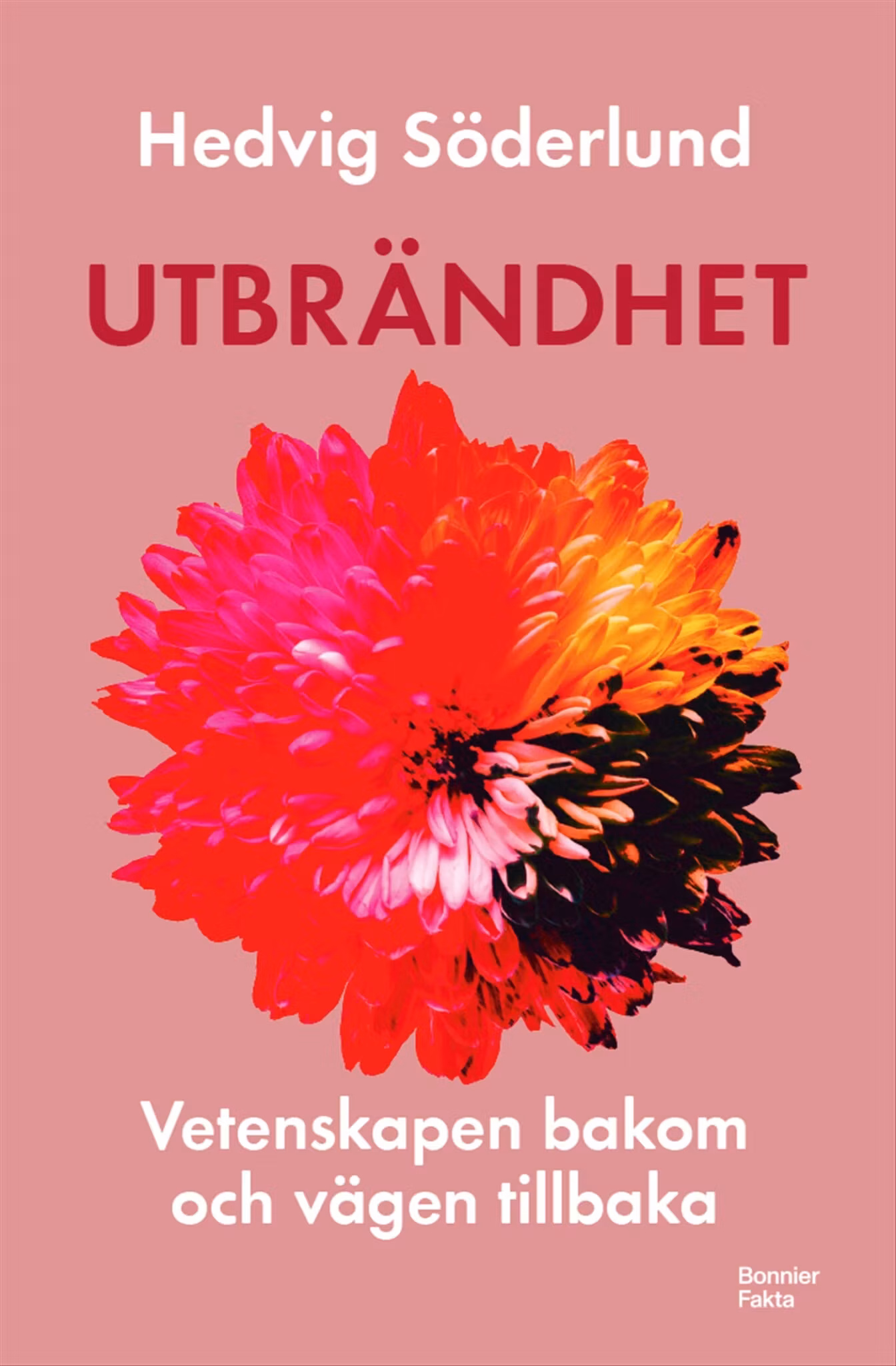 Utbrändhet - finns i Rutströms bokhandel