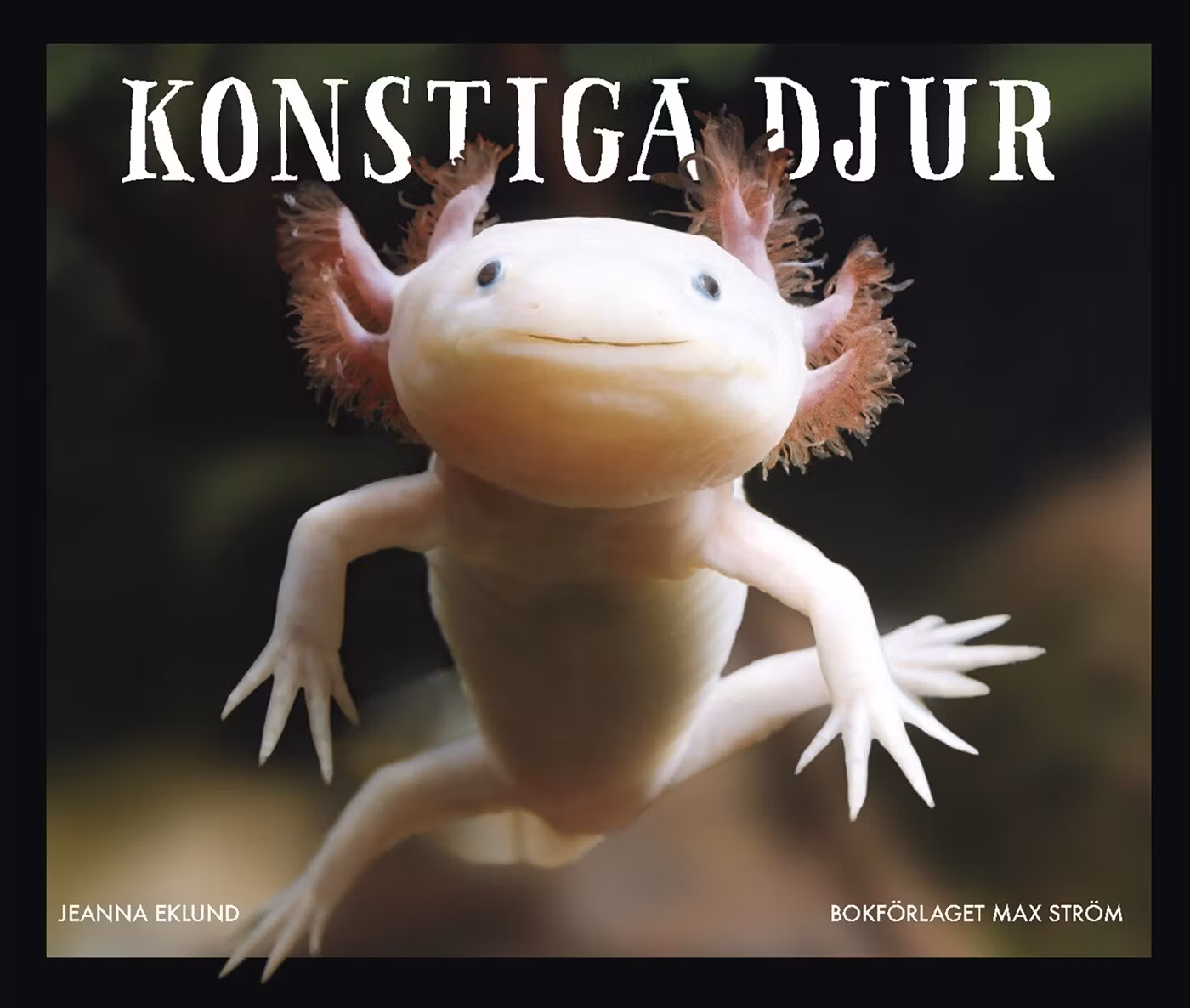 Konstiga djur