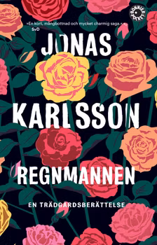 Regnmannen (pocket)