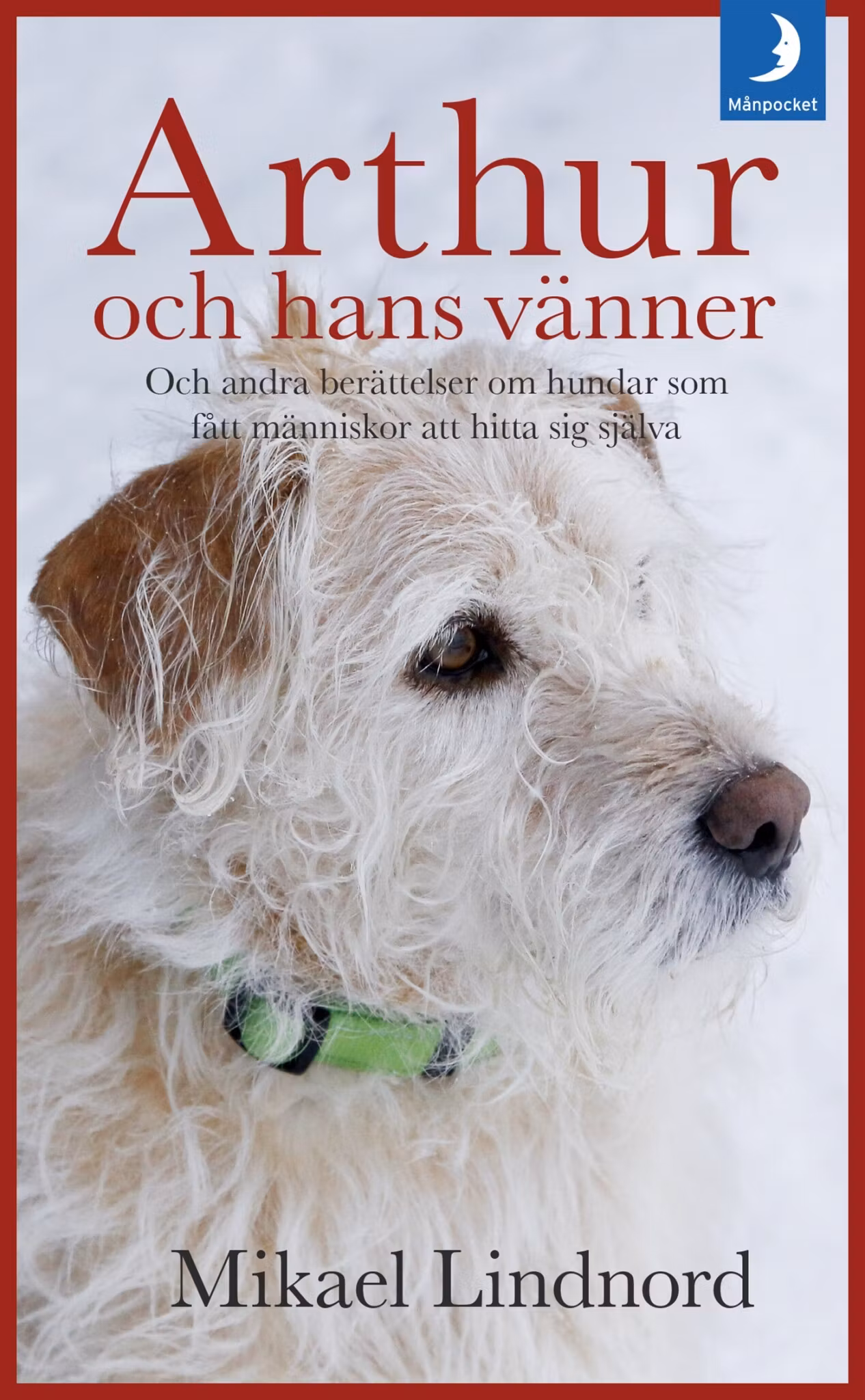 Arthur och hans vänner - finns i Rutströms bokhandel