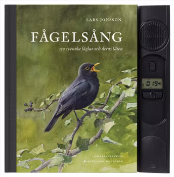 Fågelsång
