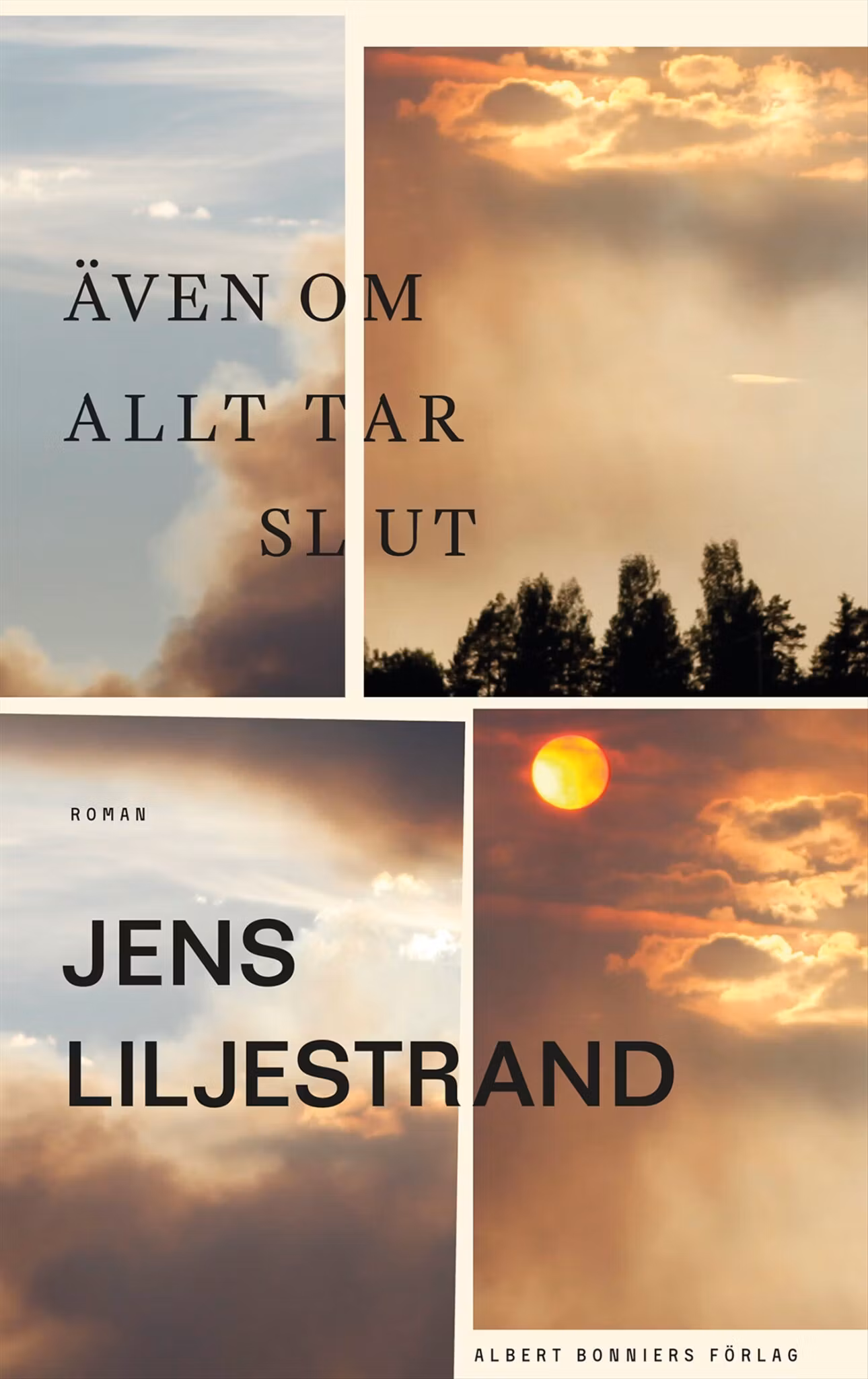 Även om allt tar slut - finns i Rutströms bokhandel