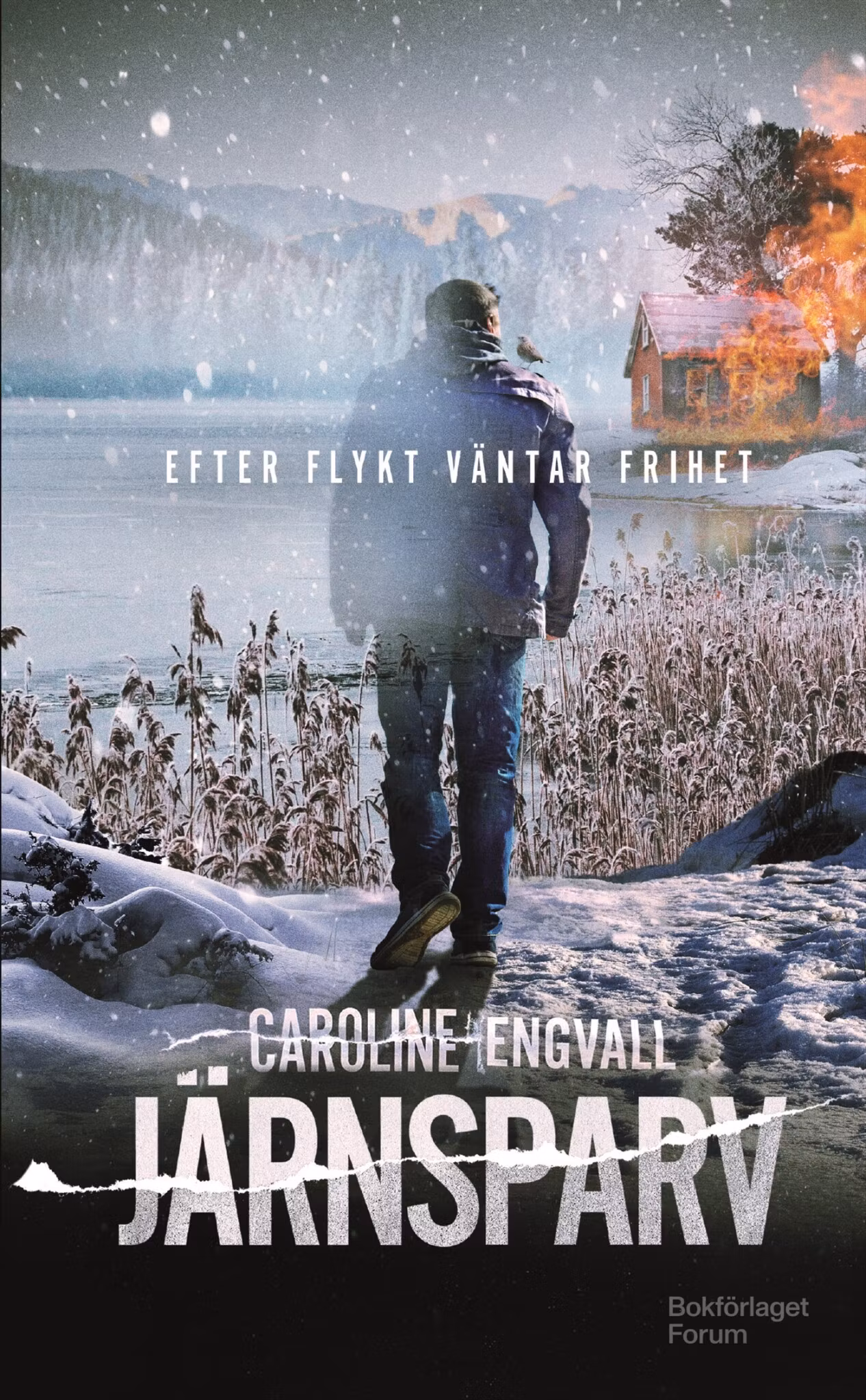 Järnsparv - finns i Rutströms bokhandel