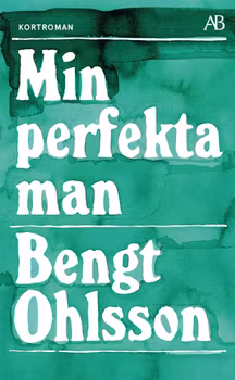 Min perfekta man (pocket)