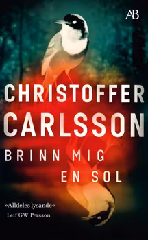 Brinn mig en sol (pocket)