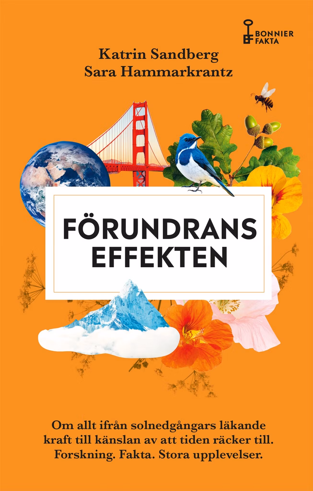 Förundranseffekten - finns i Rutströms bokhandel