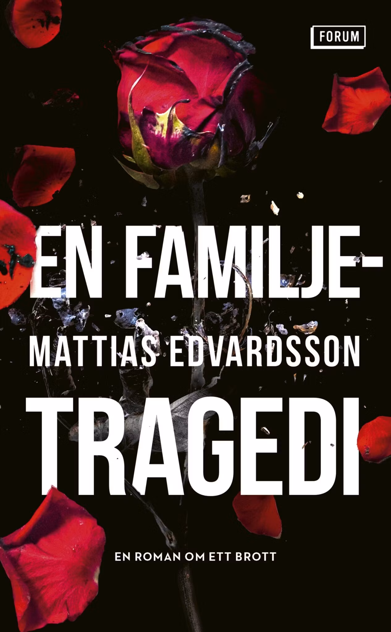 En familjetragedi (pocket)