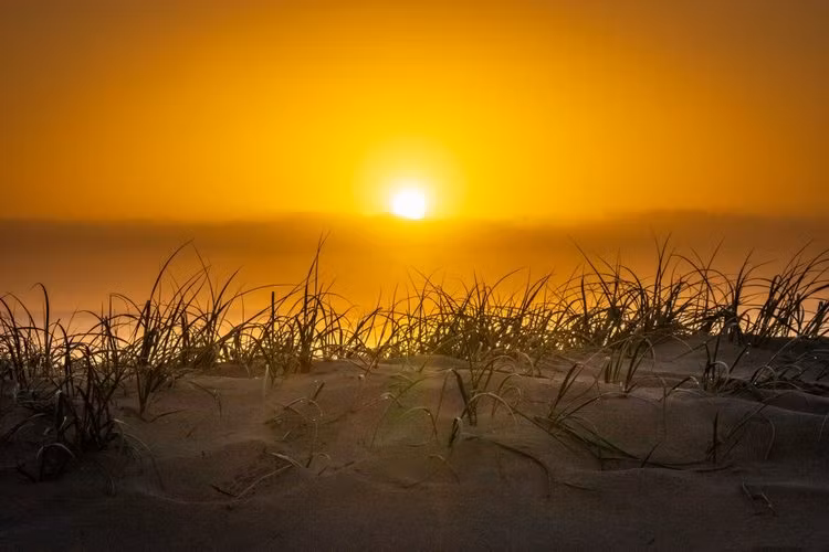 Sol över havet