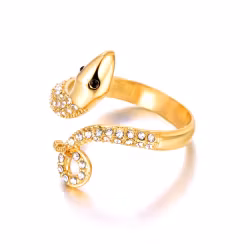 Ring - Wrapped in success