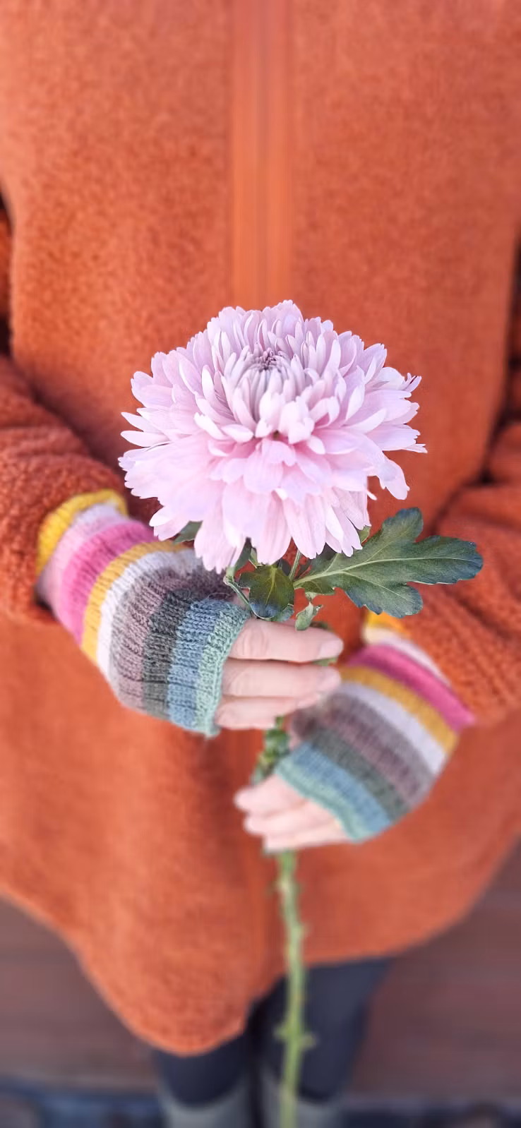 Mönster på tvären