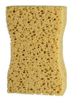 Tvättsvamp Grov