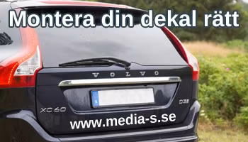 Media - S