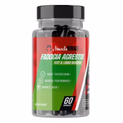 Muscle Rage Fadogia Agrestis
