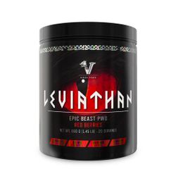 VIKING POWER PWO - Leviathan