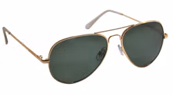 Toronto gold Polarized