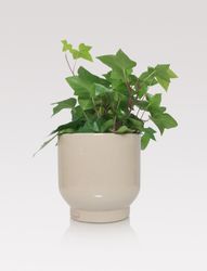 Handmade - Ceramic pot