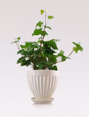 Handmade - Stoneware pot