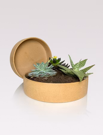 Ceramic - Planters