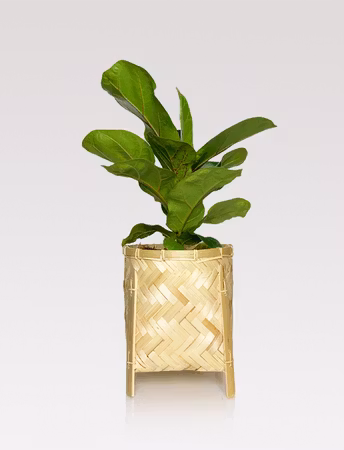 Handmade - Bamboo baskets