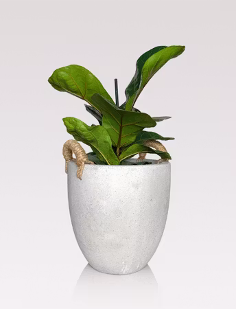Concrete - Plant pot