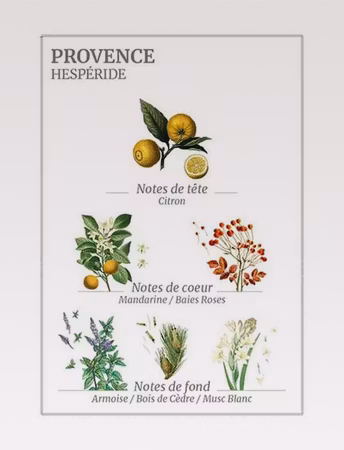 Soothing Provence hand gel