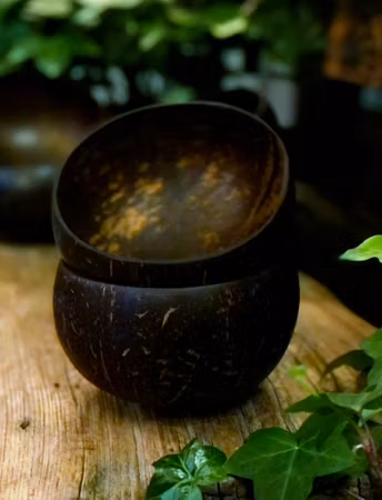 Upcycled - Coconut bowl