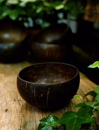 Upcycled - Coconut bowl
