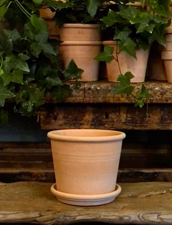 Terracotta - Plant pot
